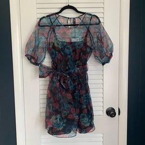 Zara Organza Dress NWT
